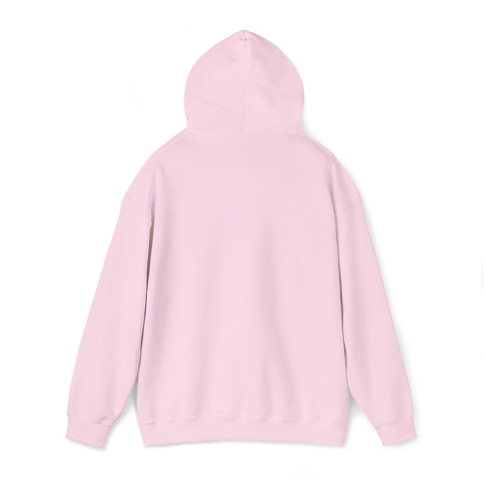 barely packed Hoodie