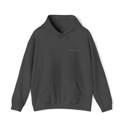 barely packed Hoodie