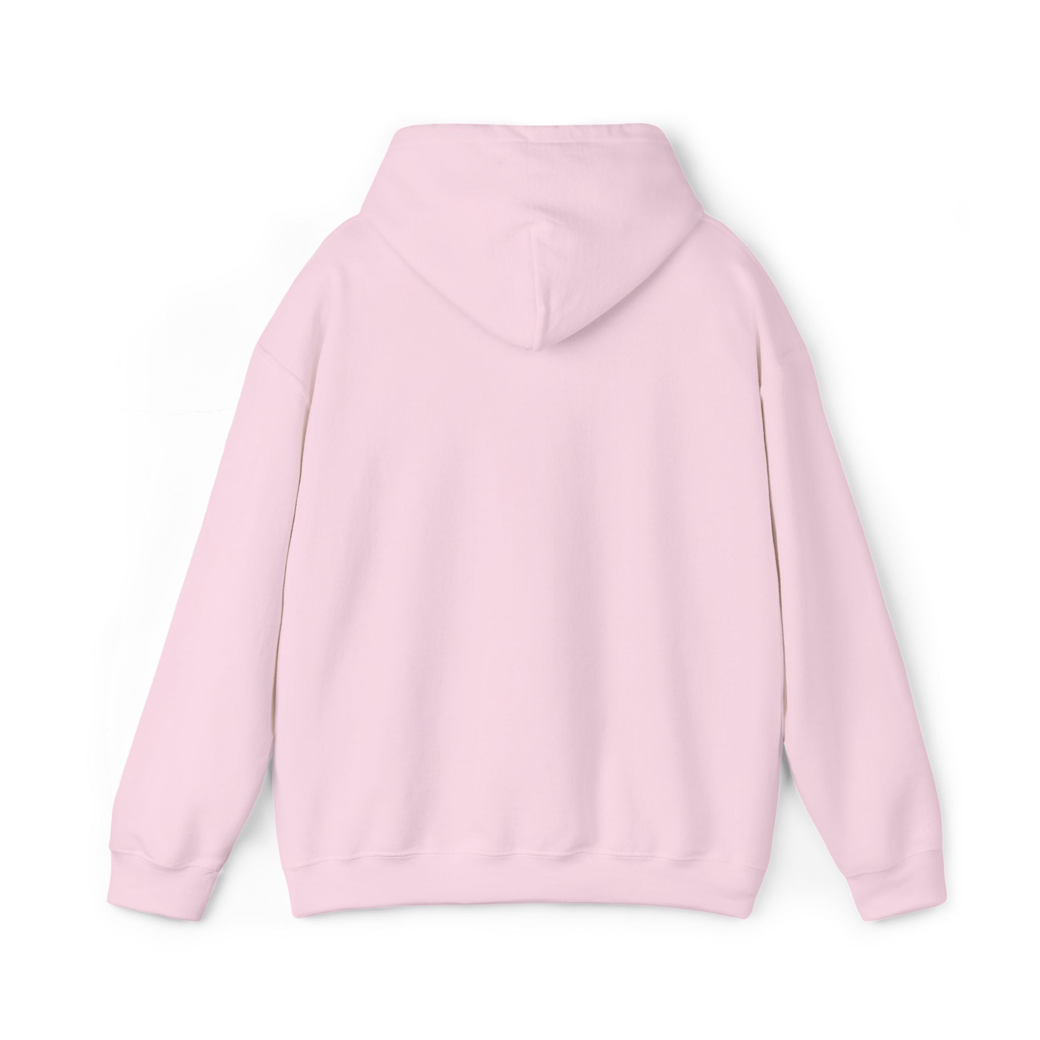 barely packed Hoodie